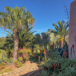 Collier jardins Essaouira Maroc